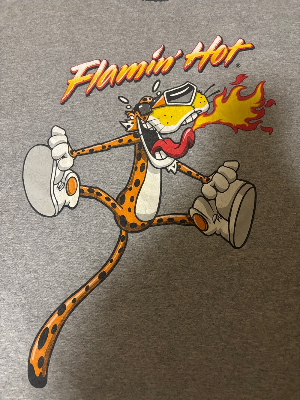 Flamin' Hot Cheetah Graphic Tee - Gray Mens Short Sleeve XL Cartooncore Casual